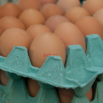 Научные исследования показывают, что нет никакой разницы в составе яиц в результате использования конкретной системы размножения, важно только корм, который получают ножницы, - говорит Моника Михальчук, доктор философии из Института птицеводства, SGGW
