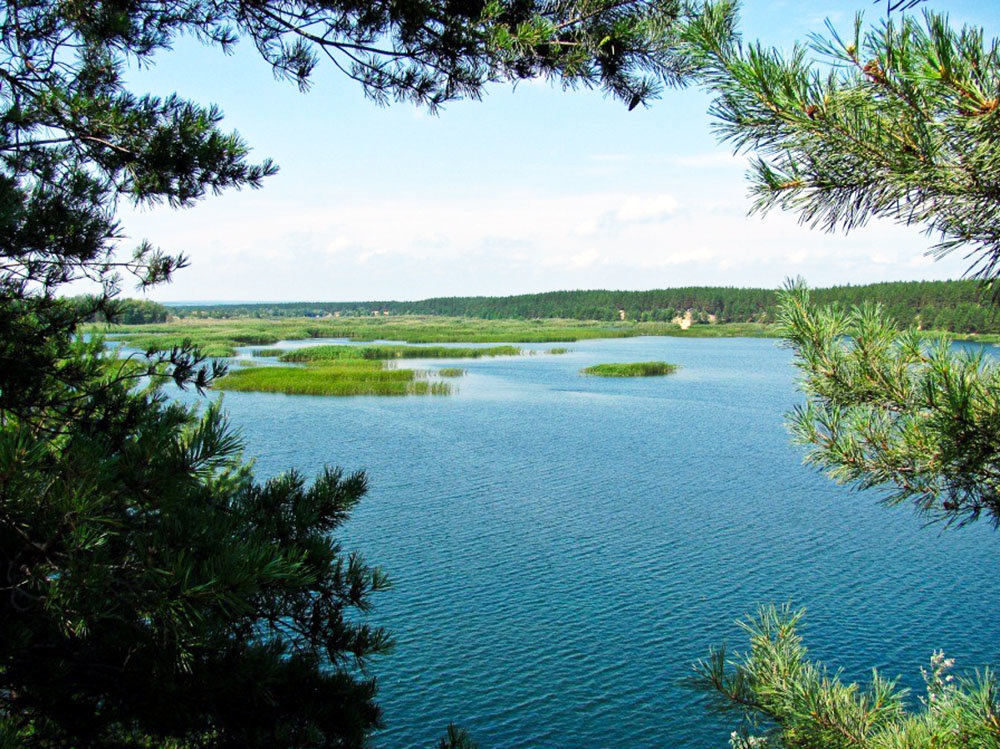 Голубые озера - озера в Репкинском районе Черниговской области